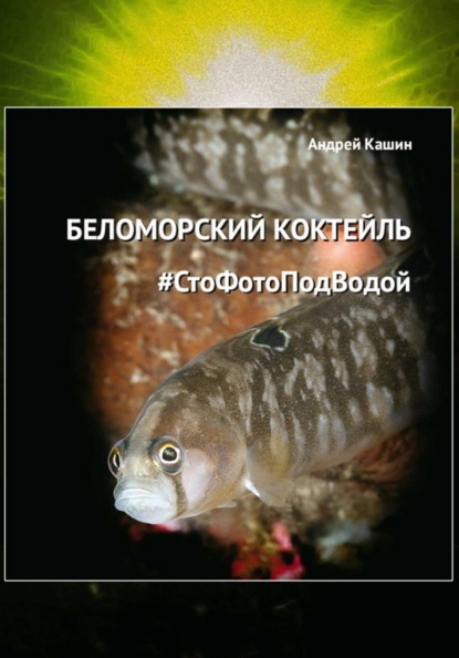 Скачать книгу Фотоальбом «Беломорский коктейль #СтоФотоПодВодой»
