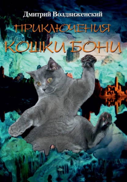 Скачать книгу ПРИКЛЮЧЕНИЯ КОШКИ БОНИ