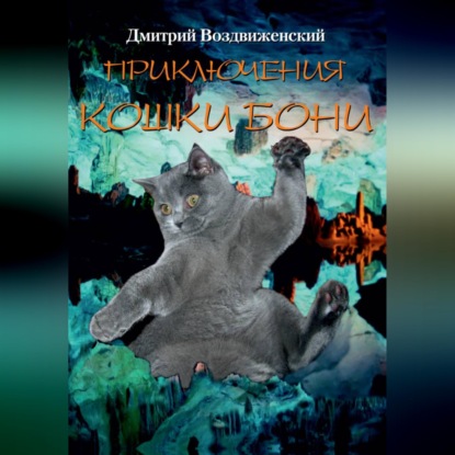 Скачать книгу ПРИКЛЮЧЕНИЯ КОШКИ БОНИ
