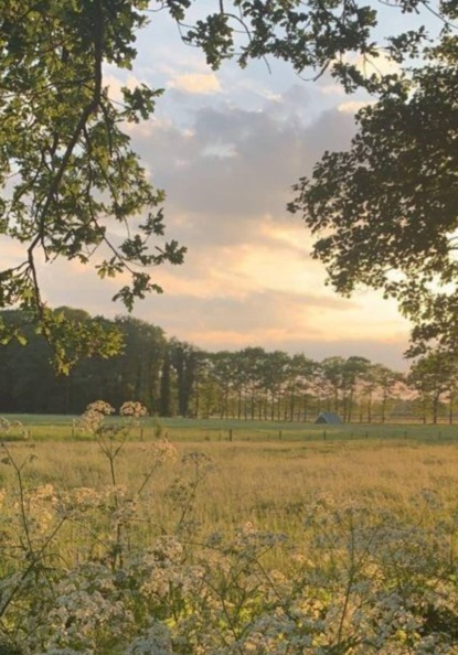 Скачать книгу Сон