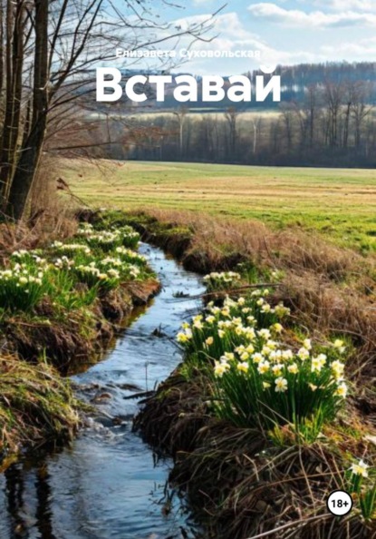 Скачать книгу Вставай