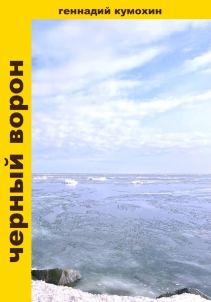 Скачать книгу Черный ворон