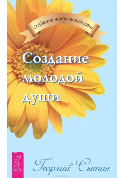 Скачать книгу Создание молодой души
