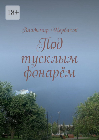 Скачать книгу Под тусклым фонарём