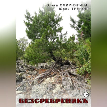 Скачать книгу БеЗсеребреникЪ