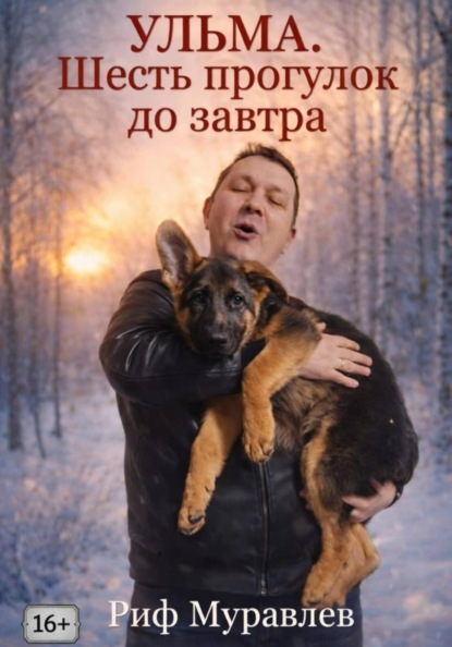 Скачать книгу Ульма. Шесть прогулок до завтра