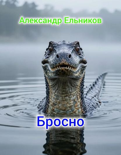 Скачать книгу Бросно