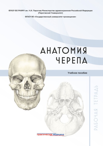 Скачать книгу Анатомия черепа. Рабочая тетрадь