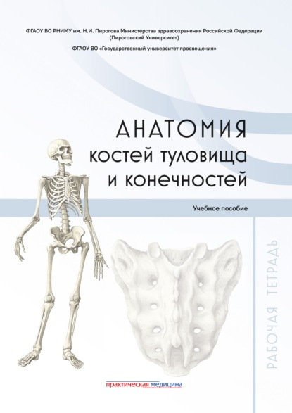 Скачать книгу Анатомия костей туловища и конечностей. Рабочая тетрадь