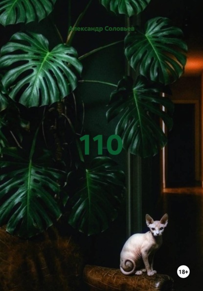 Скачать книгу 110