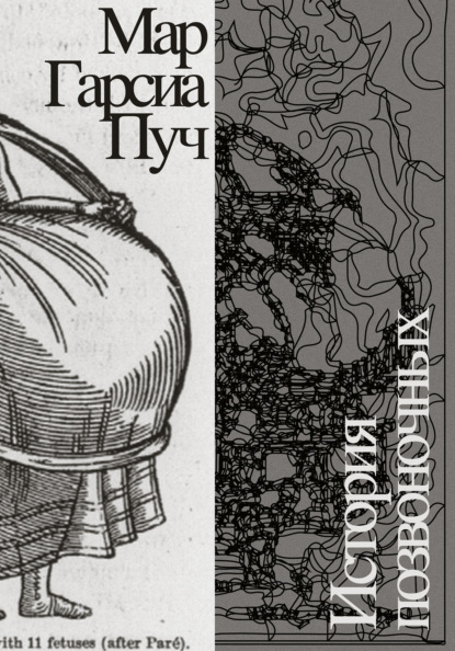 Скачать книгу История позвоночных