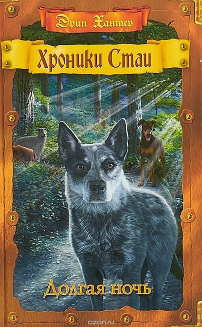 Долгая ночь