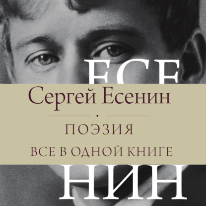 Скачать книгу Поэзия. Все в одной книге