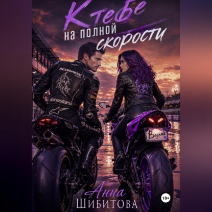 Скачать книгу К тебе на полной скорости