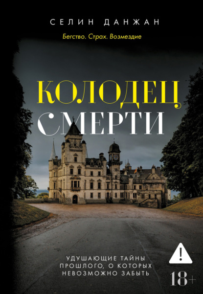 Скачать книгу Колодец Смерти