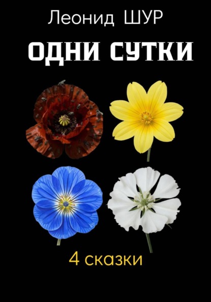 Скачать книгу Одни сутки