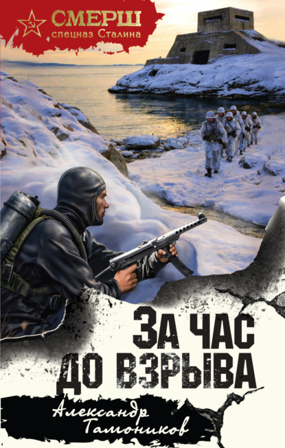 Скачать книгу За час до взрыва