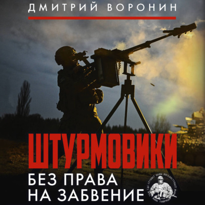 Скачать книгу Штурмовики. Без права на забвение