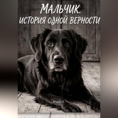 Скачать книгу Мальчик. История одной верности