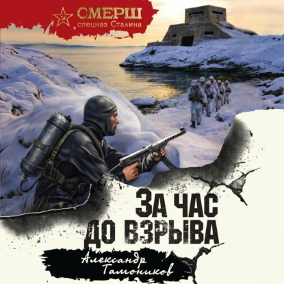 Скачать книгу За час до взрыва
