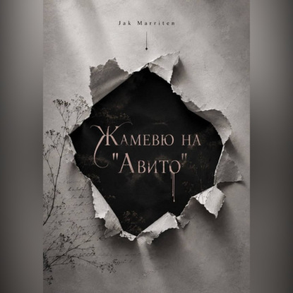 Скачать книгу Жамевю на Авито