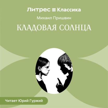 Скачать книгу Кладовая солнца