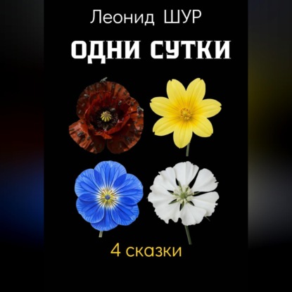 Скачать книгу Одни сутки