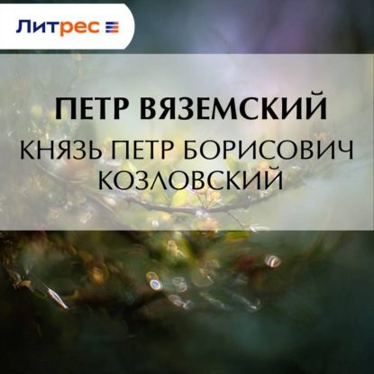 Скачать книгу Князь Петр Борисович Козловский