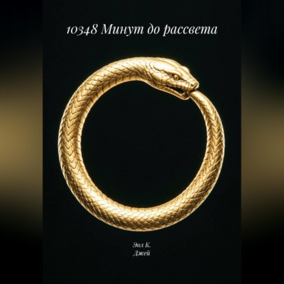 Скачать книгу 10348 Минут до рассвета