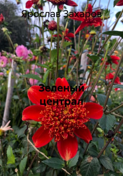 Скачать книгу Зеленый централ
