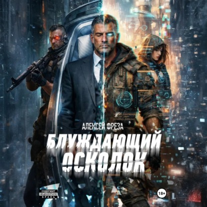 Скачать книгу Блуждающий осколок