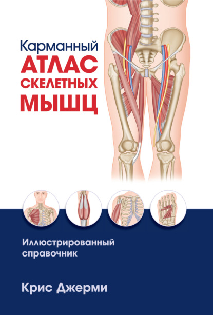 Скачать книгу Карманный атлас скелетных мышц. Иллюстрированный справочник