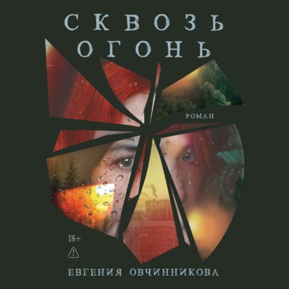 Скачать книгу Сквозь огонь