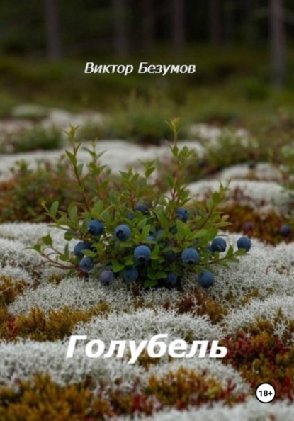 Скачать книгу Голубель