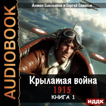 Скачать книгу Крылатая война. 1915. Книга 1