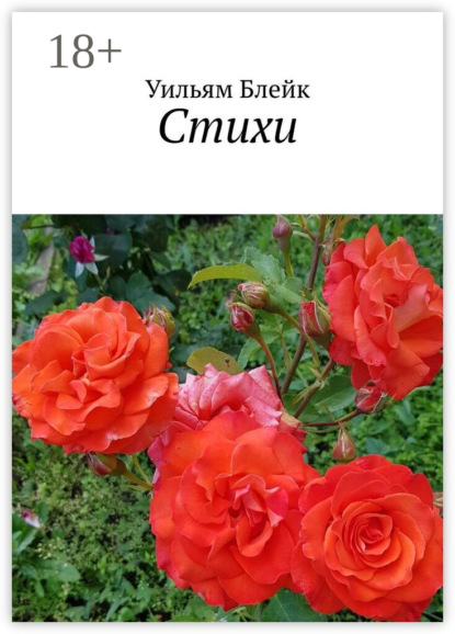 Скачать книгу Стихи