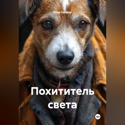 Скачать книгу Похититель света