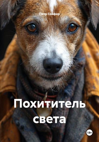 Скачать книгу Похититель света