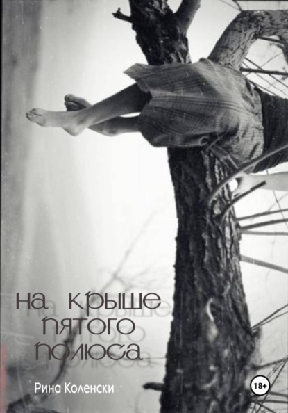 Скачать книгу На крыше пятого полюса