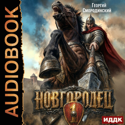 Скачать книгу Новгородец. Книга 1