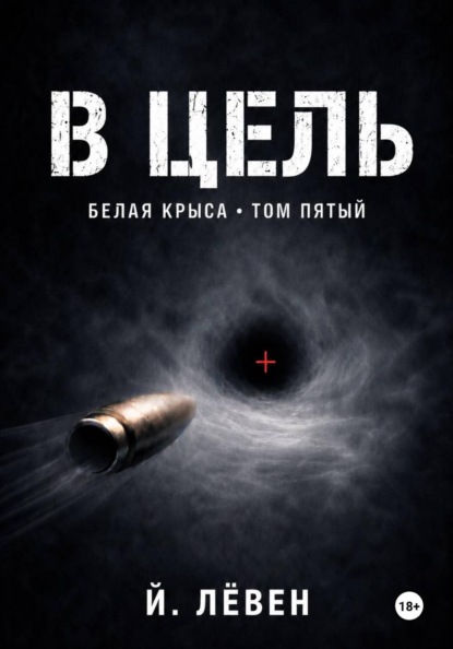 В цель