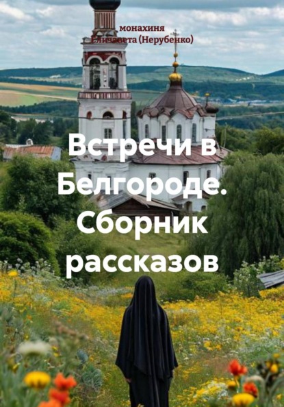 Скачать книгу Встречи в Белгороде. Сборник рассказов