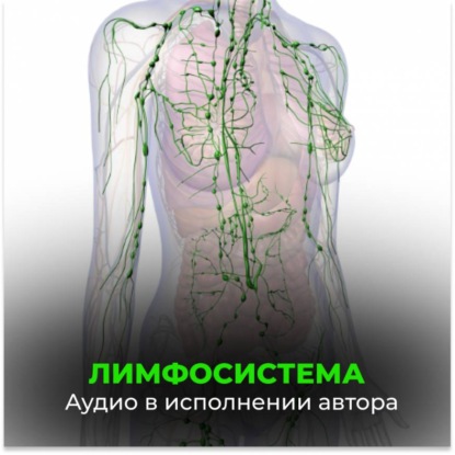 Скачать книгу Лимфосистема