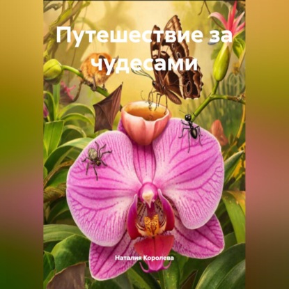 Скачать книгу Путешествие за чудесами
