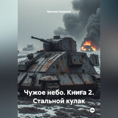 Скачать книгу Чужое небо Книга 2 Стальной кулак
