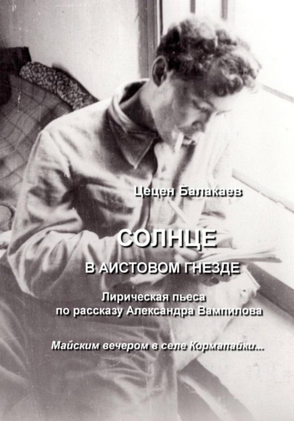Скачать книгу Солнце в аистовом гнезде. Лирическая пьеса для ТЮЗов