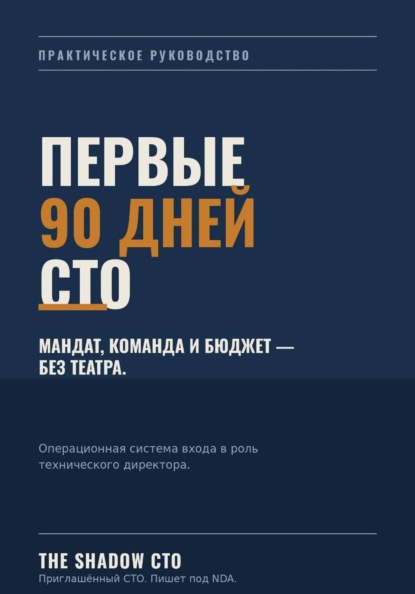 Скачать книгу THE 90-DAY CTO PLAYBOOK