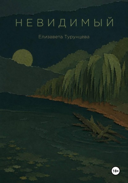 Скачать книгу Невидимый