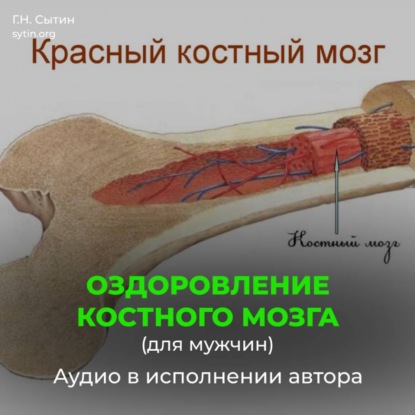 Скачать книгу Оздоровление костного мозга для мужчин