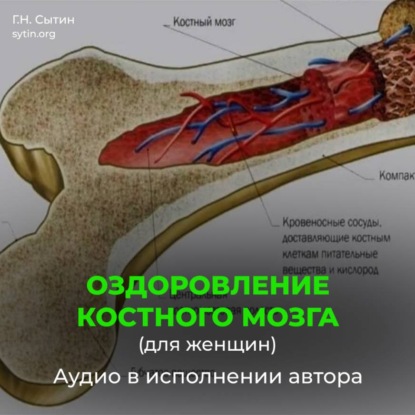 Скачать книгу Оздоровление костного мозга для женщин